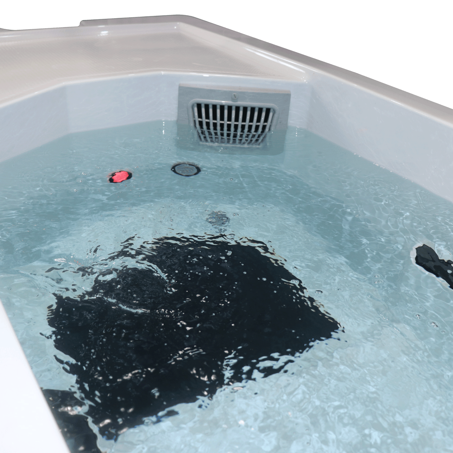 Chill1000 Cold Plunge